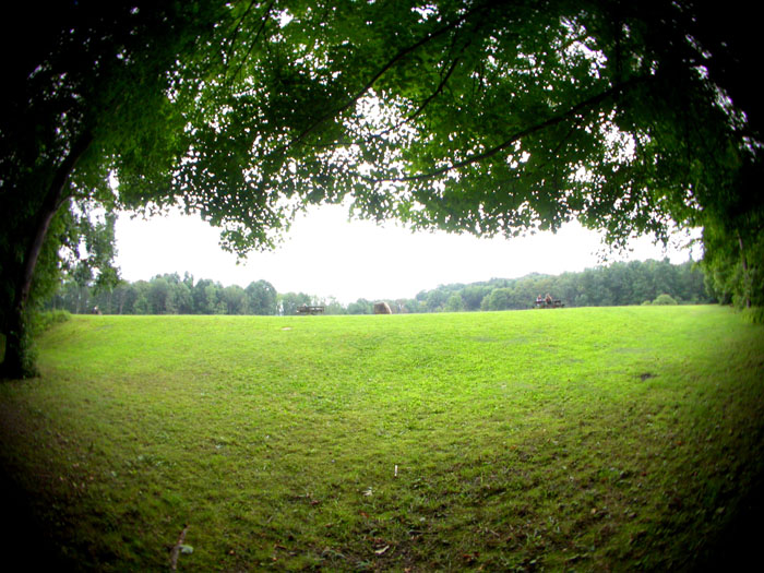 DSCN4316