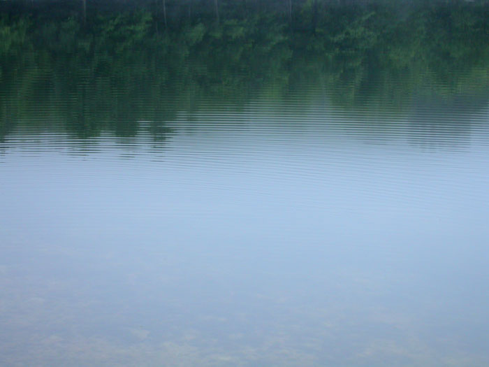 DSCN4477